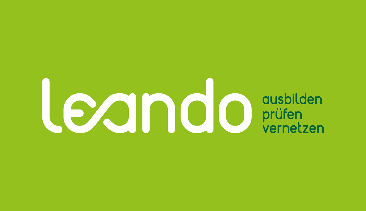 lgf-web-leando-2024-03